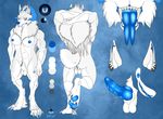  2015 animal_genitalia anthro anus biped blue_horn blue_nipples blue_nose blue_penis blue_tongue breasts canine claws clitoral_hood clitoris demon digital_media_(artwork) digitigrade ear_piercing forked_tongue fur hands_behind_head herm horn intersex knot mammal model_sheet nipple_piercing nipples nude pawpads penis piercing pointy_ears pussy raised_tail serious sheath simple_background spiritwhitewolf textured_background tongue were werewolf white_fur yang_(spiritwhitewolf) 