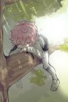  akita_toushirou closed_eyes in_tree kurosuke_(hipparu) legwear_under_shorts male_focus pantyhose pantyhose_under_shorts pink_hair shorts sleeping solo touken_ranbu tree white_legwear 