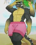  alien anthro beach clothing eyewear fan_(disambiguation) kardukk lowius male multi_arm multi_limb palm_leaves pink_shorts reptile sand scalie seaside shorts solo spikes sunglasses thelionfish thick_tail tongue tongue_out water 
