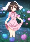  animal_ears black_hair blush bunny_ears carrot carrot_necklace dress floppy_ears flower hydrangea inaba_tewi jewelry lifted_by_self looking_at_viewer necklace outdoors pink_dress puffy_short_sleeves puffy_sleeves red_eyes short_hair short_sleeves skirt_hold smile solo standing touhou unushi wading water 