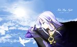  bird blue_eyes blue_hair braid cape caster day fate/stay_night fate_(series) highres jewelry pointy_ears ring shingo_(missing_link) sky solo wallpaper 