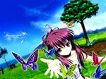  butterfly chikage sister_princess tagme tenhiro_naoto 