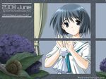  dreamsoft tagme teruterubouzu tsurugi_hagane 