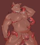  anthro balls belly big_belly canine dog ear_penetration forced male mammal navel navel_penetration navel_poke nazimi00 nipples nude penetration penis rape saliva sex slightly_chubby solo strangling tentacle_rape tentacles wolf 