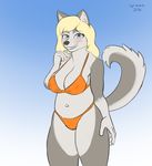  2016 anthro big_breasts bikini blonde_hair blue_eyes blush breasts canine clothed clothing corporalbackrubs digital_media_(artwork) dog female fur gradient_background grey_fur hair hi_res husky long_hair looking_at_viewer mammal multicolored_fur nipple_bulge portrait simple_background skimpy slightly_chubby smile solo swimsuit thick_thighs three-quarter_portrait two_tone_fur voluptuous white_fur wide_hips 