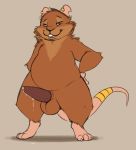  anthro balls bandage brown_eyes brown_fur buckteeth claws ear_piercing ear_ring emenius erection fur half-closed_eyes hands_on_hips male mammal nude penis piercing precum rat rodent simple_background slightly_chubby smile solo standing tapering_penis teeth thick_thighs 