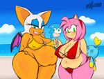  amy_rose beach camel_toe chao cheese_the_chao clothing dessert excito food ice_cream overweight rouge_the_bat seaside slightly_chubby sonic_(series) swimsuit 