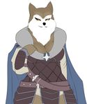 anthro armello armor belt black_eyes breasts canine cleavage cloak clothed clothing female mammal river_(armello) shirt_pull smile smirk solo unknown_artist wolf yellow_sclera 