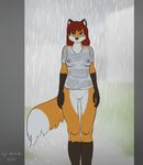  2016 absurd_res anthro bottomless breasts brown_eyes brown_fur canine clothed clothing corporalbackrubs digital_media_(artwork) dipstick_tail female fox fur gloves_(marking) hair hi_res long_hair looking_at_viewer mammal markings multicolored_fur multicolored_tail nipples orange_fur pussy raining red_hair sheer_clothing shirt socks_(marking) solo translucent transparent_clothing wet white_fur 
