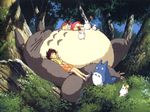  my_neighbour_totoro tagme 