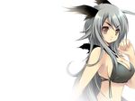  1girl animal_ears bikini breasts cat_ears catgirl female gradient gradient_background solo swimsuit wallpaper 