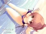  dead_or_alive iizuki_tasuku kasumi side_tie_panties swimsuit water 