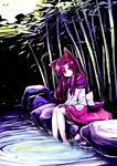  :3 animal_ears azumaya_toushirou bamboo bamboo_forest brooch brown_hair dress forest highres imaizumi_kagerou jewelry long_sleeves looking_at_viewer nature red_eyes sitting sitting_on_rock soaking_feet solo tail touhou water wide_sleeves wolf_ears wolf_tail 