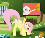  angel_(mlp) butt carrot clitoris cutie_mark detailed_background duo equine feathered_wings feathers female feral fluttershy_(mlp) food friendship_is_magic hair hi_res lagomorph male male/female mammal my_little_pony open_mouth pegasus pink_hair pussy pussy_juice rabbit raised_tail size_difference tongue tongue_out unbirthing vegetable vore wings zeta_r-02 