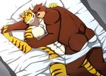  2016 abs anthro bear bearlovestiger13 bed bed_sheet bedding biceps butt clothed clothing duo embarrassing feline fur hand_holding juuichi_mikazuki love male male/male mammal morenatsu muscular nude pillow romantic_couple sleeping_together tiger topless torahiko_(morenatsu) warm 