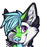 black_fur blep canid canine canis dog edit falx fur green_fur hair husky hybrid icon invalid_tag looking_at_viewer male mammal muzz one_eye_closed shiba_inu solo sparkle_dog tongue tongue_out translucent white_fur wink wolf wolfdog wusky_inu 
