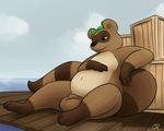  animal_genitalia anthro balls belly big_balls brown_fur crate doublepopsicle fully_sheathed fur hi_res leaf lounging male mammal nude outside public relaxing seaside sheath slightly_chubby smile solo taeko tanuki 