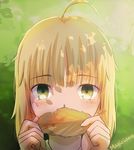 ahoge artoria_pendragon_(all) bad_id bad_pixiv_id blonde_hair blush commentary_request fate/stay_night fate_(series) green_eyes leaf looking_at_viewer magicians_(zhkahogigzkh) saber short_hair solo 