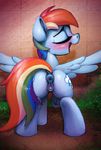  2016 anatomically_correct anatomically_correct_pussy animal_genitalia animal_pussy anus blush butt cutie_mark dock equine equine_pussy eyes_closed feathered_wings feathers female feral friendship_is_magic hair hi_res hooves mammal multicolored_hair my_little_pony open_mouth pegasus pussy rainbow_dash_(mlp) rainbow_hair rear_view selenophile solo spread_wings underhoof wings 