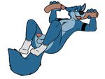  anthro armpits balls blue_fur canine chest_tuft clothing dildo fellatio fur legwear male mammal nude oral penis robbie rotten_robbie sex sex_toy socks solo solo_focus tuft wolf 