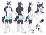  canine clothing dog emperorkaiser husky male mammal model_sheet muscular sebastian_king solo underwear 