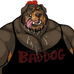  anthro biceps black_eyes black_fur black_nose body_hair brown_fur canine chest_hair clothing dog dramamine facial_hair front_view fur hair hi_res licking looking_at_viewer male mammal manly mature_male messy muscular muscular_male open_mouth pecs pose red_eyes red_hair rottweiler shirt simple_background solo standing teeth tongue tongue_out 