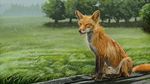  blep canine fox male mammal raining swish tongue water 
