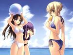  beach bikini fate/stay_night matou_sakura missing_link popsicle saber shingo summer swimsuit tohsaka_rin 