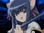  animal_ears catgirl kokubunji_koyori nurse_witch_komugi-chan nurse_witch_komugi-chan_magikarte vector 