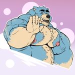  anthro bear biceps big_biceps black_nose blue_fur blue_hair bluekumabox body_hair chest_hair clenched_teeth clothed clothing facial_hair fur hair hairy hi_res looking_at_viewer male mammal manly mature_male musclegut muscular muscular_male nipples pecs pose relaxing side_view simple_background smile solo standing teeth topless wave 