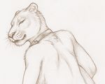  2016 anthro collar rukis smile story story_in_description 