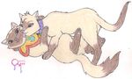  cat collar colored_pencil cub dongwa feline female giggling implied_incest licking male mammal queensmate sagwa sagwa_the_chinese_siamese_cat siamese sibling tickling tongue tongue_out young 