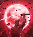  2015 5_fingers abs anthro biceps canine flower front_view full_moon half-length_portrait hi_res holding_object holding_weapon leaves looking_at_viewer male mammal melee_weapon moon muscular muscular_male nipples pecs petals plant portrait raccoon21 red_eyes red_sky red_theme rose shiny signature sky solo standing star starry_sky sword tree weapon wolf 