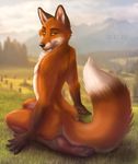  2016 4_toes 5_fingers anthro black_nose butt canine chest_tuft claws edit fluffy fluffy_tail fox fur grass kneeling looking_at_viewer looking_back male mammal markings nude orange_eyes orange_fur outside pawpads paws rear_view seductive socks_(marking) solo toe_claws toes tuft zen 