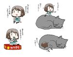  25mm_triple_autocannon_mount animal brown_hair cat commentary_request fairy_(kantai_collection) kantai_collection minigirl multiple_views open_mouth pon_(0737) school_uniform serafuku short_hair sitting sleeping translation_request 