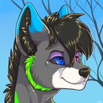  anthro canine half-closed_eyes icon kellwolfik male mammal simple_background smile solo 