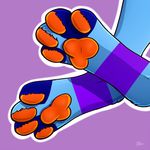  ambiguous_gender anthro feline foot_focus kellwolfik mammal simple_background solo 