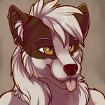  anthro canine ear_piercing fangs inner_ear_fluff kellwolfik male mammal piercing simple_background smile solo teeth tongue tongue_out 