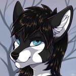  ambiguous_gender anthro blue_eyes canine icon kellwolfik looking_at_viewer male mammal simple_background smile solo 