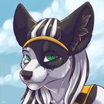  ambiguous_gender anthro canine cloud green_eyes hair half-closed_eyes headband icon kellwolfik looking_at_viewer male mammal multicolored_hair smile solo two_tone_hair 