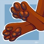  ambiguous_gender anthro canine foot_focus kellwolfik mammal simple_background solo 