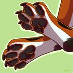  ambiguous_gender anthro canine claws foot_focus fur kellwolfik mammal pawpads paws simple_background solo 