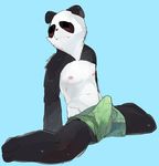  anthro barefoot bear blush boxers_(clothing) clothed clothing cute_fangs eyes_closed kneeling liteu looking_away low-riding male mammal nipples panda solo spread_legs spreading tenting topless underwear 