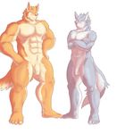  2015 5_fingers 5_toes abs alternate_version_available anthro balls blue_eyes blush brown_nose canine crossed_arms duo flaccid fur grey_fur grey_nose hands_on_hips hati-skm hati_(hati-skm) humanoid_penis male mammal multicolored_fur nude open_mouth orange_fur penis simple_background skoll_(hati-skm) standing surprise tagme tan_fur toes two_tone_fur uncut white_background white_fur white_sclera wolf yellow_eyes 