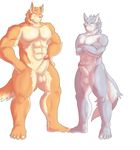  2015 5_fingers 5_toes abs alternate_version_available anthro balls blue_eyes blush brown_nose crossed_arms duo embarrassed erection fur grey_fur grey_nose hands_on_hips hati-skm hati_(hati-skm) hi_res humanoid_penis male multicolored_fur nude orange_fur penis simple_background skoll_(hati-skm) smile standing tagme tan_fur toes two_tone_fur white_background white_fur white_sclera yellow_eyes 