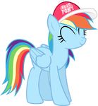  alpha_channel equine eyes_closed female feral friendship_is_magic hair hat mammal multicolored_hair my_little_pony nxzc88 pegasus rainbow_dash_(mlp) smile solo wings 