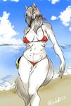  ball beach bikini canine claws clothing cloud day female hair jyoka mammal multi_breast multi_nipple ribbons seaside solo swimsuit wolf 