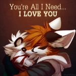  2014 anthro bandanna canine clothed clothing cute duo english_text eyes_closed female fennec fox fully_clothed fur hair hoodie hug inner_ear_fluff love male male/female mammal orange_fur red_background simple_background standing text thanshuhai white_fur white_hair 