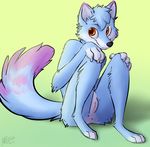  arctic arctic_fox canine cuntboy fox goji gojithefox intersex male mammal meirro pussy sitting 