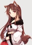  animal_ears breasts brooch brown_hair collarbone dress imaizumi_kagerou jewelry long_sleeves looking_at_viewer medium_breasts red_eyes sangatsu_saki simple_background solo tail touhou wide_sleeves wolf_ears wolf_tail 